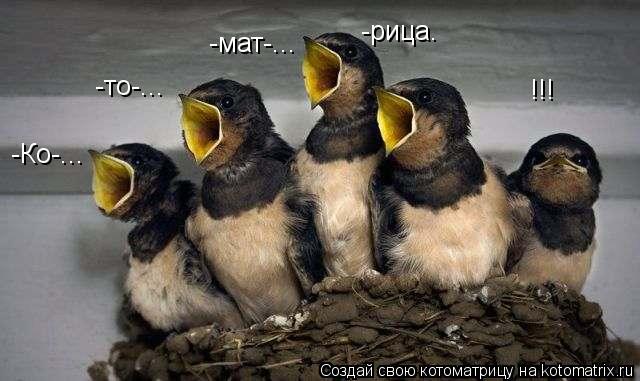 -Ко-... -то-... -мат-... -рица. !!!... Котоматрица: -Ко-... -то-... -мат-... -рица. !!!
