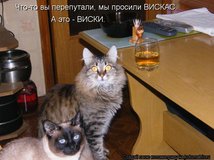 Что-то вы перепутали, мы просили ВИСКАС. А это - ВИСКИ.... Котоматрица: Что-то вы перепутали, мы просили ВИСКАС. А это - ВИСКИ.
