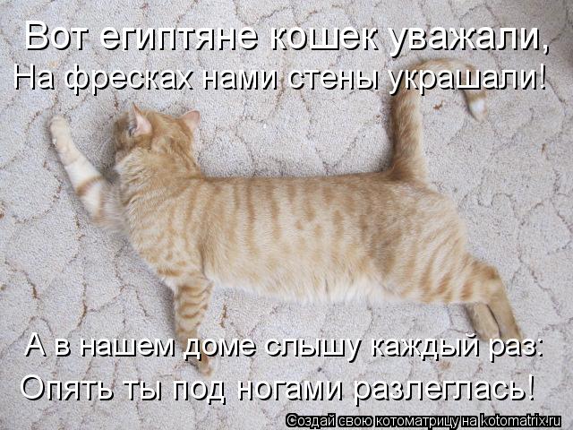 Котоматрица: Вот египтяне кошек уважали, На фресках нами стены украшали! А в нашем доме слышу каждый раз: Опять ты под ногами разлеглась!