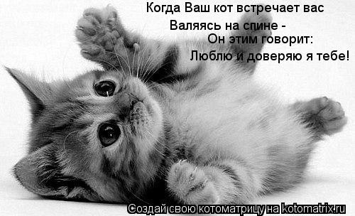 Когда Ваш кот встречает вас Валяясь на спине - Он этим говорит: Люблю и доверяю я тебе!... Котоматрица: Когда Ваш кот встречает вас Валяясь на спине - Он этим говорит: Люблю и доверяю я тебе!
