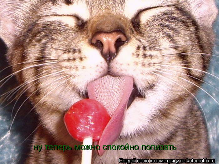 ну теперь можно спокойно полизать... Котоматрица: ну теперь можно спокойно полизать