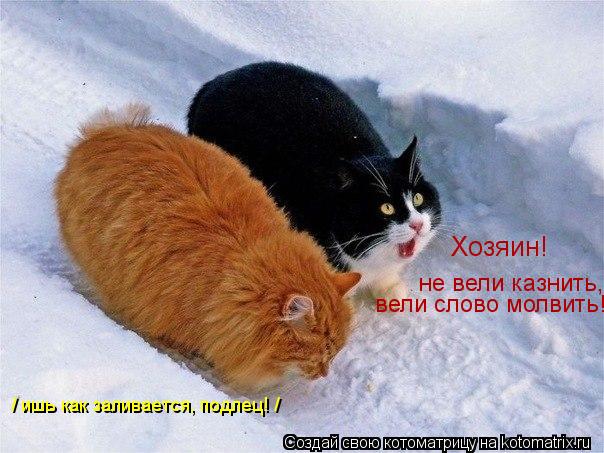 Хозяин! не вели казнить, вели слово молвить! / ишь как заливается, подлец! /... Котоматрица: Хозяин! не вели казнить, вели слово молвить! / ишь как заливается, подлец! /