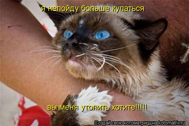 я непойду больше купаться вы меня утопить хотите!!!!!... Котоматрица: я непойду больше купаться вы меня утопить хотите!!!!!