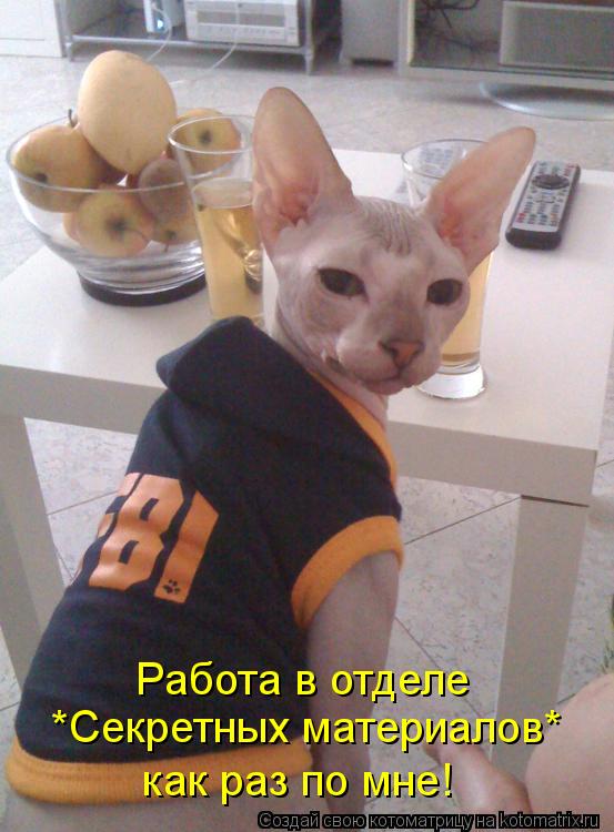 *Секретных материалов* как раз по мне! Работа в отделе... Котоматрица: *Секретных материалов* как раз по мне! Работа в отделе