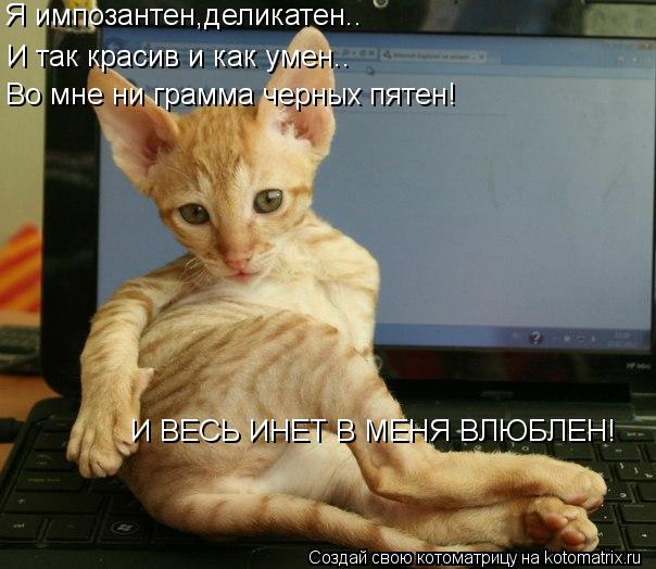 Я импозантен,деликатен.. И так красив и как умен.. Во мне ни грамма черных пятен! И ВЕСЬ ИНЕТ В МЕНЯ ... Котоматрица: Я импозантен,деликатен.. И так красив и как умен.. Во мне ни грамма черных пятен! И ВЕСЬ ИНЕТ В МЕНЯ ВЛЮБЛЕН!