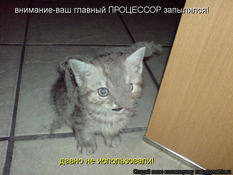 внимание-ваш главный ПРОЦЕССОР запылился! давно не использовали!... Котоматрица: внимание-ваш главный ПРОЦЕССОР запылился! давно не использовали!