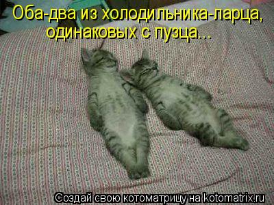 одинаковых с пузца... Оба-два из холодильника-ларца,... Котоматрица: одинаковых с пузца... Оба-два из холодильника-ларца,