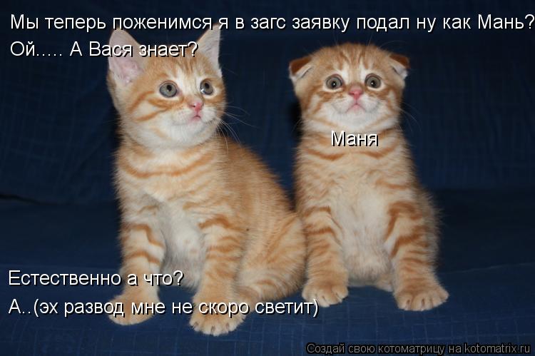 Мы теперь поженимся я в загс заявку подал ну как Мань? Ой..... А Вася знает? Естественно а что? А..(... Котоматрица: Мы теперь поженимся я в загс заявку подал ну как Мань? Ой..... А Вася знает? Естественно а что? А..(эх развод мне не скоро светит) Маня