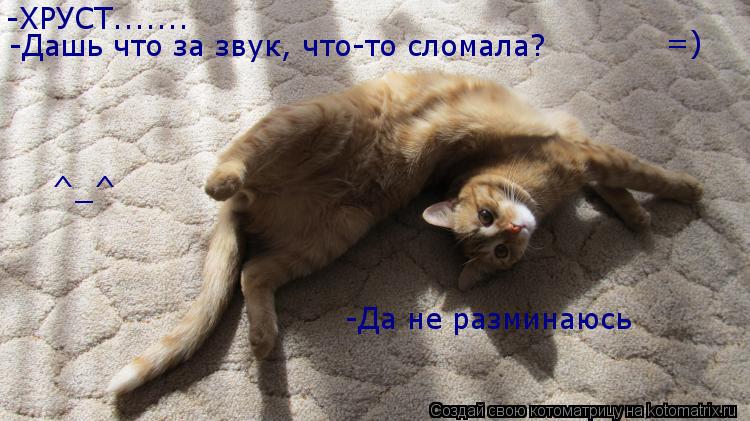 -ХРУСТ....... -Дашь что за звук, что-то сломала? -Да не разминаюсь =) ^_^... Котоматрица: -ХРУСТ....... -Дашь что за звук, что-то сломала? -Да не разминаюсь =) ^_^