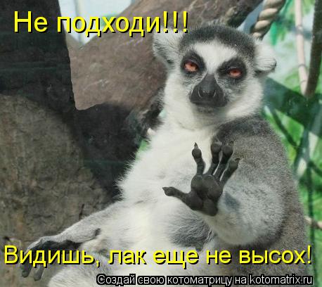 Не подходи!!! Видишь, лак еще не высох!... Котоматрица: Не подходи!!! Видишь, лак еще не высох!