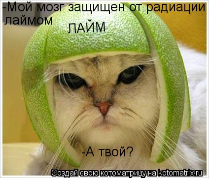 -Мой мозг защищен от радиации лаймом -А твой? ЛАЙМ... Котоматрица: -Мой мозг защищен от радиации лаймом -А твой? ЛАЙМ