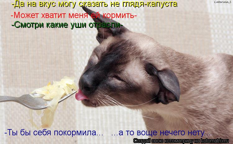 -Да на вкус могу сказать не глядя-капуста -Может хватит меня ей кормить- -Смотри какие уши отрасли- -... Котоматрица: -Да на вкус могу сказать не глядя-капуста -Может хватит меня ей кормить- -Смотри какие уши отрасли- -Ты бы себя покормила... ...а то воще нечего