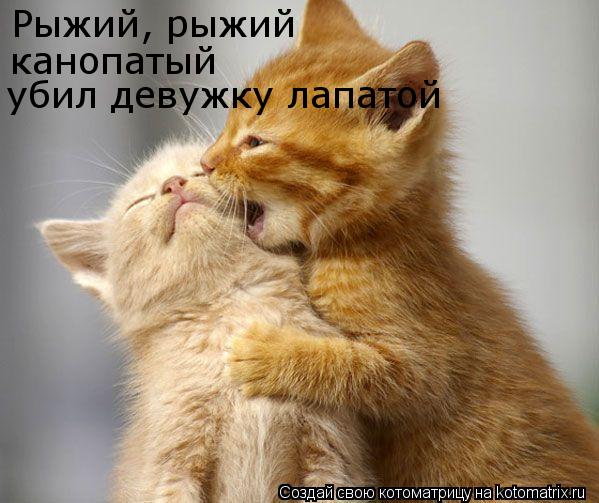 Рыжий, рыжий канопатый убил девужку лапатой... Котоматрица: Рыжий, рыжий канопатый убил девужку лапатой