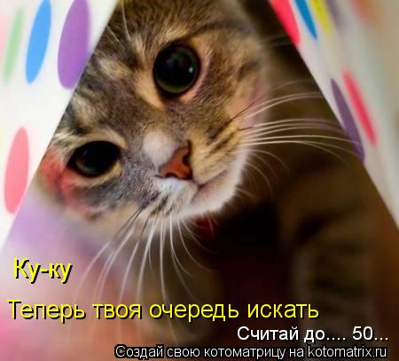 Ку-ку Теперь твоя очередь искать Считай до.... 50...... Котоматрица: Ку-ку Теперь твоя очередь искать Считай до.... 50...