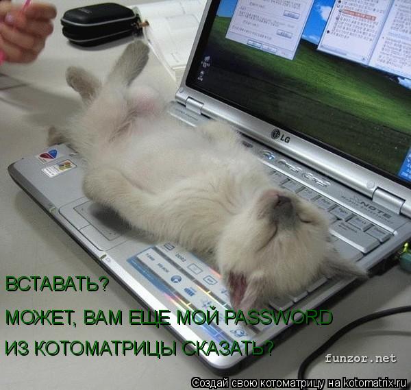 ВСТАВАТЬ? ИЗ КОТОМАТРИЦЫ СКАЗАТЬ? МОЖЕТ, ВАМ ЕЩЕ МОЙ PASSWORD... Котоматрица: ВСТАВАТЬ? ИЗ КОТОМАТРИЦЫ СКАЗАТЬ? МОЖЕТ, ВАМ ЕЩЕ МОЙ PASSWORD