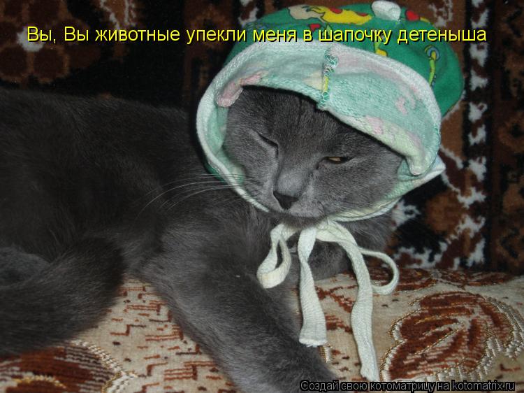 Вы, Вы животные упекли меня в шапочку детеныша... Котоматрица: Вы, Вы животные упекли меня в шапочку детеныша