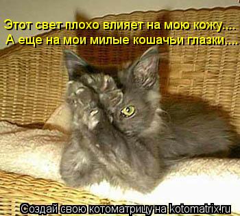 Этот свет плохо влияет на мою кожу.... А еще на мои милые кошачьи глазки....... Котоматрица: Этот свет плохо влияет на мою кожу.... А еще на мои милые кошачьи глазки....
