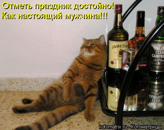 Отметь праздник достойно! Как настоящий мужчина!!!... Котоматрица: Отметь праздник достойно! Как настоящий мужчина!!!