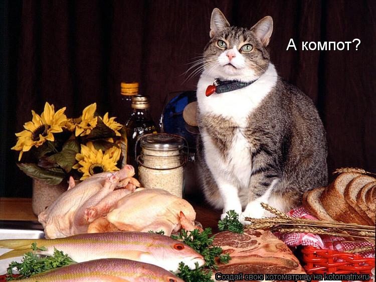 А компот?... Котоматрица: А компот?
