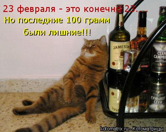 23 февраля - это конечно 23.... Но последние 100 грамм были лишние!!!... Котоматрица: 23 февраля - это конечно 23.... Но последние 100 грамм были лишние!!!