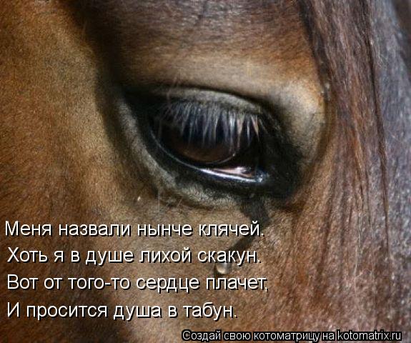 Меня назвали нынче клячей. Хоть я в душе лихой скакун. Вот от того-то сердце плачет, И просится душа ... Котоматрица: Меня назвали нынче клячей. Хоть я в душе лихой скакун. Вот от того-то сердце плачет, И просится душа в табун.