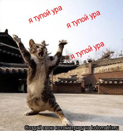 я тупой ура я тупой ура я тупой ура... Котоматрица: я тупой ура я тупой ура я тупой ура