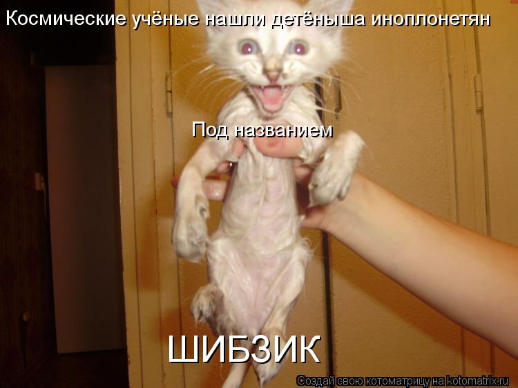 Космические учёные нашли детёныша иноплонетян Под названием ШИБЗИК... Котоматрица: Космические учёные нашли детёныша иноплонетян Под названием ШИБЗИК