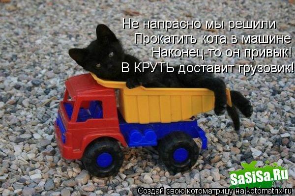 Не напрасно мы решили Прокатить кота в машине Наконец-то он привык! В КРУТЬ доставит грузовик!... Котоматрица: Не напрасно мы решили Прокатить кота в машине Наконец-то он привык! В КРУТЬ доставит грузовик!