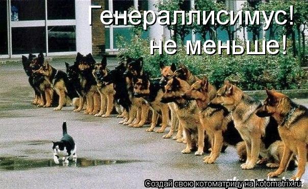 Генераллисимус! не меньше!... Котоматрица: Генераллисимус! не меньше!