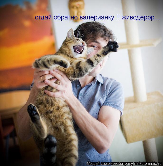 отдай обратно валерианку !! живодеррр...... Котоматрица: отдай обратно валерианку !! живодеррр...