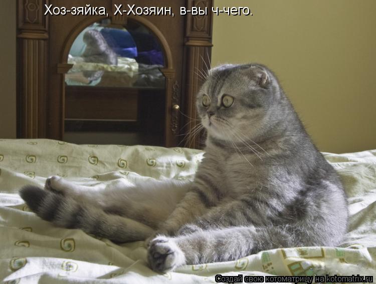 Хоз-зяйка, Х-Хозяин, в-вы ч-чего. Хоз-зяйка, Х-Хозяин, в-вы ч-чего.... Котоматрица: Хоз-зяйка, Х-Хозяин, в-вы ч-чего. Хоз-зяйка, Х-Хозяин, в-вы ч-чего.