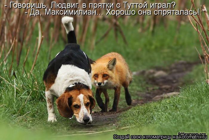 - Говоришь, Людвиг, в прятки с Туттой играл? - Да, Максимилиан... Хорошо она спряталась!... Котоматрица: - Говоришь, Людвиг, в прятки с Туттой играл? - Да, Максимилиан... Хорошо она спряталась!