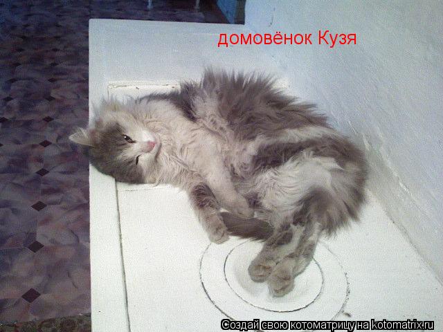 домовёнок Кузя... Котоматрица: домовёнок Кузя