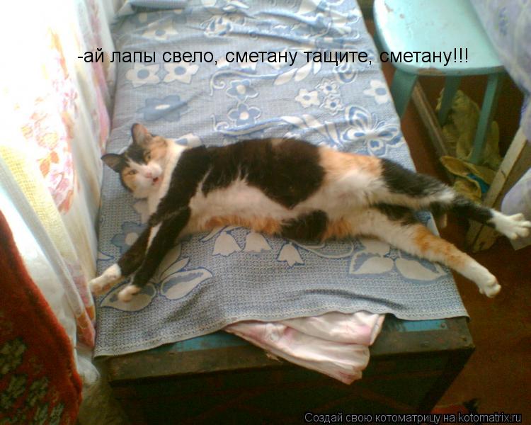 -ай лапы свело, сметану тащите, сметану!!!... Котоматрица: -ай лапы свело, сметану тащите, сметану!!!