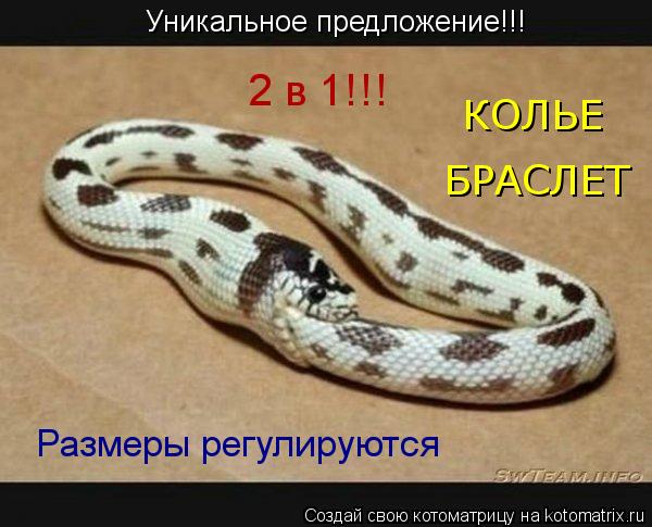 Уникальное предложение!!! 2 в 1!!! Размеры регулируются БРАСЛЕТ КОЛЬЕ... Котоматрица: Уникальное предложение!!! 2 в 1!!! Размеры регулируются БРАСЛЕТ КОЛЬЕ