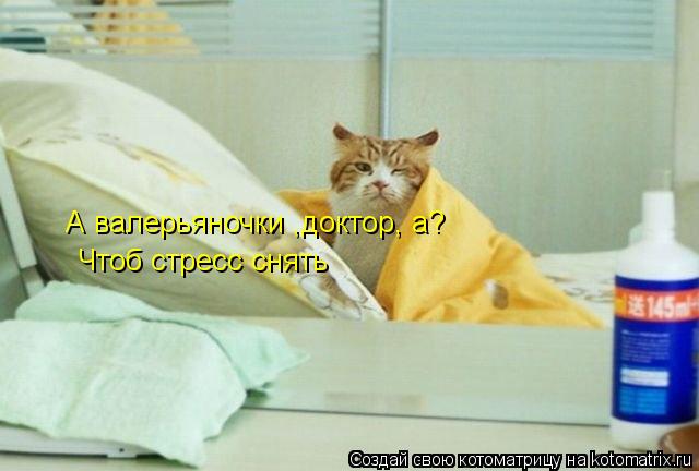 А валерьяночки ,доктор, а? Чтоб стресс снять... Котоматрица: А валерьяночки ,доктор, а? Чтоб стресс снять