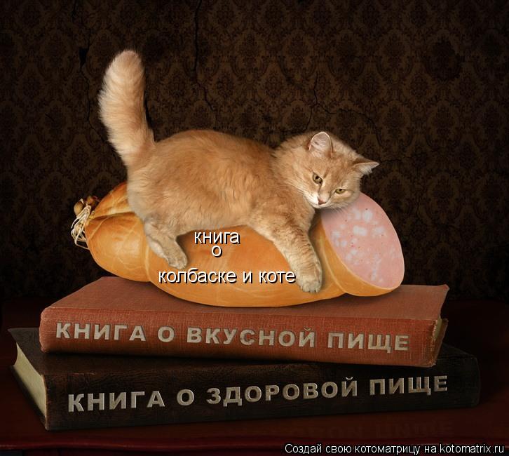 книга о колбаске и коте... Котоматрица: книга о колбаске и коте