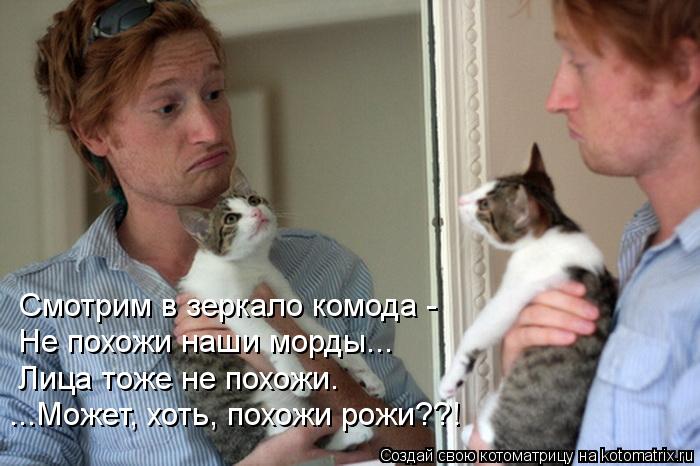 Смотрим в зеркало комода - Не похожи наши морды... Лица тоже не похожи. ...Может, хоть, похожи рожи??... Котоматрица: Смотрим в зеркало комода - Не похожи наши морды... Лица тоже не похожи. ...Может, хоть, похожи рожи??!