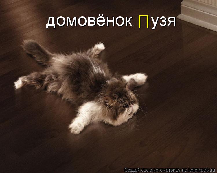 Котоматрица: домовёнок    узя П