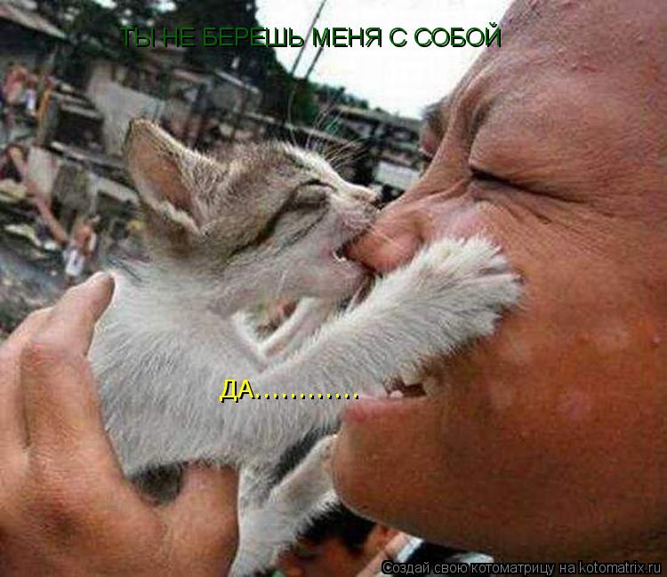ТЫ НЕ БЕРЕШЬ МЕНЯ С СОБОЙ ДА............... Котоматрица: ТЫ НЕ БЕРЕШЬ МЕНЯ С СОБОЙ ДА............