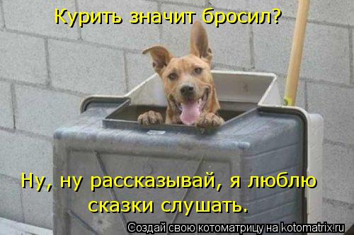 Курить значит бросил? Ну, ну рассказывай, я люблю сказки слушать.... Котоматрица: Курить значит бросил? Ну, ну рассказывай, я люблю сказки слушать.