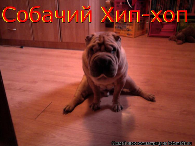 Собачий Хип-хоп Собачий Хип-хоп... Котоматрица: Собачий Хип-хоп Собачий Хип-хоп