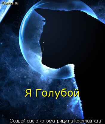 Я Голубой... Котоматрица: Я Голубой