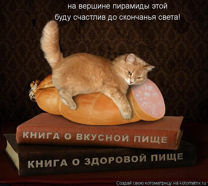 на вершине пирамиды этой буду счастлив до скончанья света!... Котоматрица: на вершине пирамиды этой буду счастлив до скончанья света!
