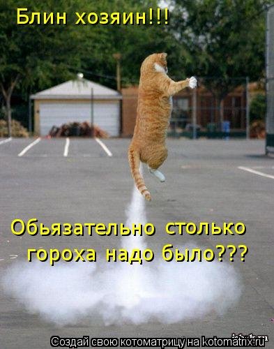 Блин хозяин!!! Обьязательно столько гороха надо было???... Котоматрица: Блин хозяин!!! Обьязательно столько гороха надо было???