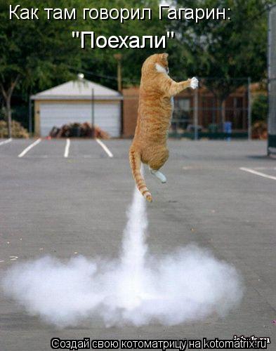 Как там говорил Гагарин: "Поехали"... Котоматрица: Как там говорил Гагарин: "Поехали"