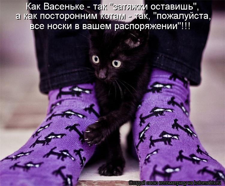 Котоматрица: Как Васеньке - так "затяжки оставишь",  а как посторонним котам - так, "пожалуйста,  все носки в вашем распоряжении"!!!