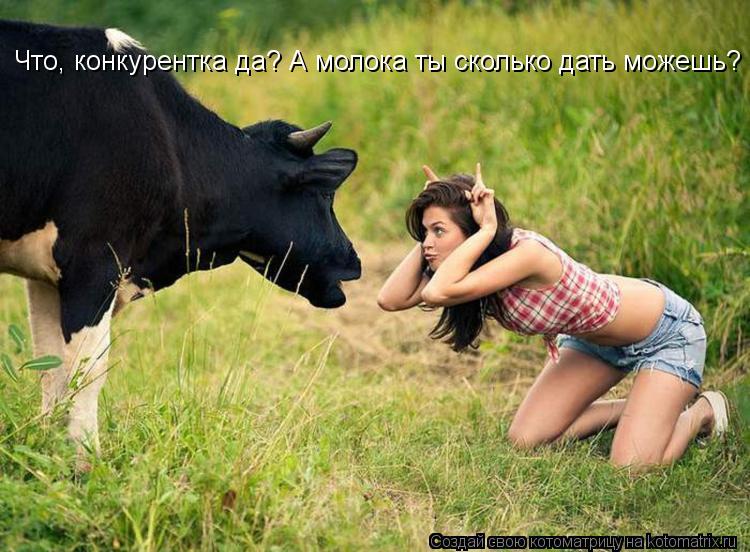 Что, конкурентка да? А молока ты сколько дать можешь? Что, конкурентка да? А молока ты сколько дать м... Котоматрица: Что, конкурентка да? А молока ты сколько дать можешь? Что, конкурентка да? А молока ты сколько дать можешь?