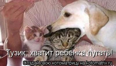 Тузик, хватит ребёнка пугать!... Котоматрица: Тузик, хватит ребёнка пугать!