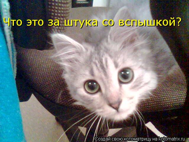 Что это за штука со вспышкой?... Котоматрица: Что это за штука со вспышкой?